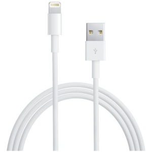 Apple Lightning to USB Cable 1m