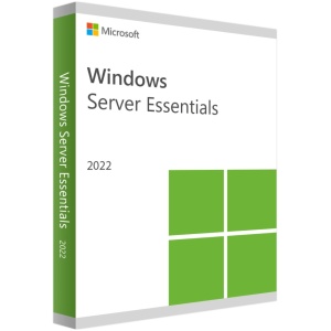 WINDOWS SERVER Essentials 2022 25 USERS DELL/HP