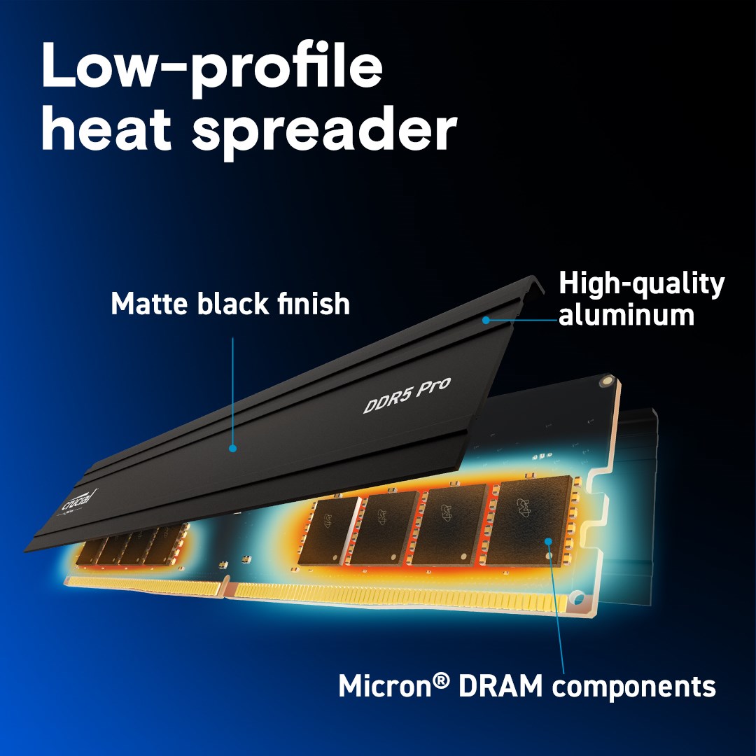 32GB DIMM DDR5 5600MT/s Crucial Pro – תמונה 4