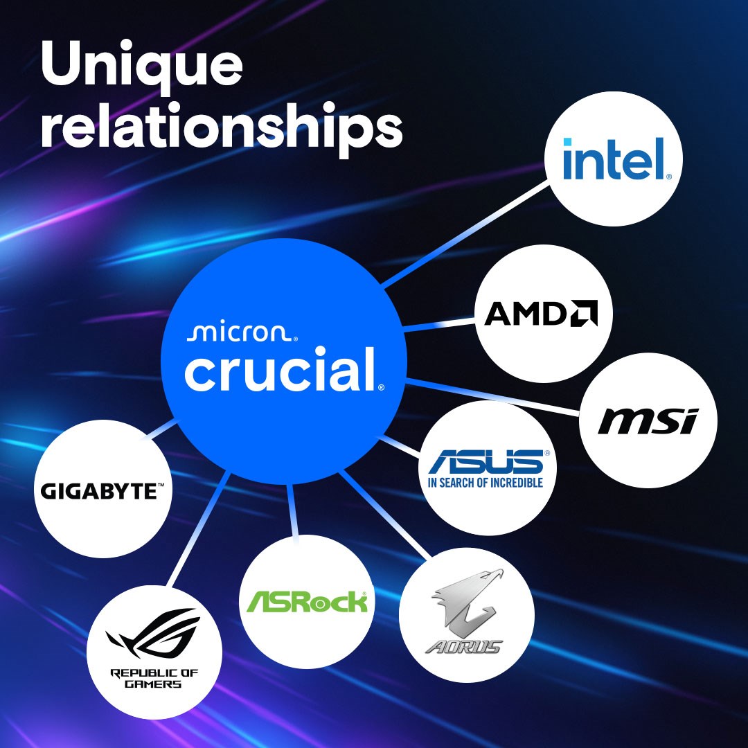 32GB DIMM DDR5 5600MT/s Crucial Pro – תמונה 6