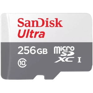 256GB MicroSDHC Class 10 100MB/s Sandisk